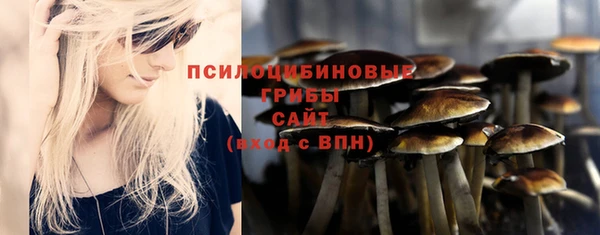 прущие крисы Вяземский