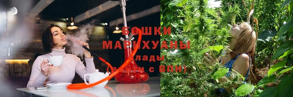 прущие крисы Вяземский