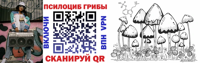 Псилоцибиновые грибы мицелий  Дудинка 